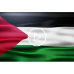 palestine flag live wallpaper android application logo